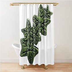 Evermore album ivy - Champagne problems, Willow, happiness, Long story short Shower Curtain