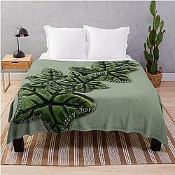 Evermore album tracks on Ivy - Champagne Problems, Willow, Happiness, Long Story Short Throw Blanket