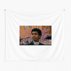 Versatile Actor Chance Perdomo Tapestries