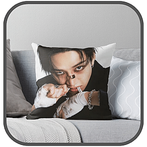 Changbin Pillows Cover