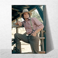 Charles Ingalls Merch Charles Ingalls Posters