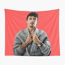 Charles Leclerc Scuderia F1 Gray Sweater Tapestry