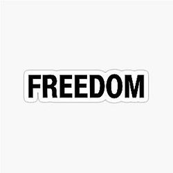 Charlie Kirk Tribute T-Shirt Freedom Memorial Shirt