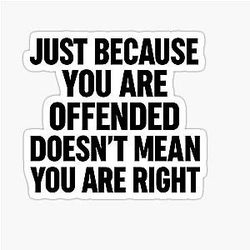 Just Because You're Offended Doesn't Mean You're Right Charlie Kirk Essential T-Shirt