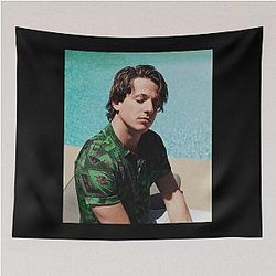 Music by Charlie Puth Tapestry