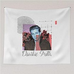 Music by Charlie Puth Tapestry