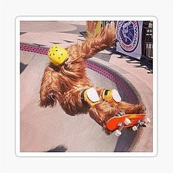 Chewbacca Skate Sticker