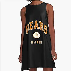 Art Chicago Bears A Line Dress