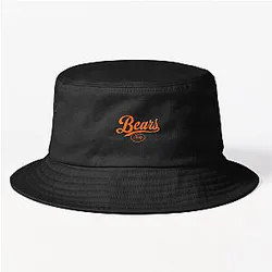 Art Chicago Bears Hat