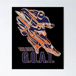 Art Chicago Bears Poster