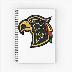 Chicago Blackhawks Notebook