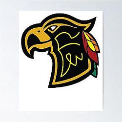 Chicago Blackhawks Poster