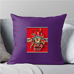 Chicago Blackhawks Limited Collection Chicago Blackhawks Pillows Cover
