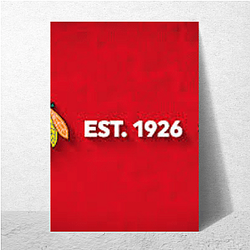 Chicago Blackhawks Merch Chicago Blackhawks Posters