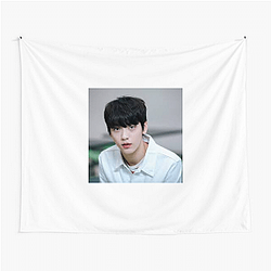 Choi Soobin Merch For Fans Choi Soobin Tapestries