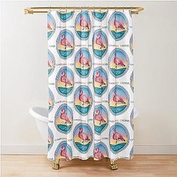 Christopher Cross Debut Curtain