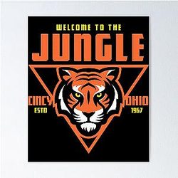 Football Cincinnati Bengals Poster