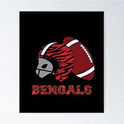Cincinnati Bengals Poster