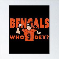 Cincinnati Bengals Poster