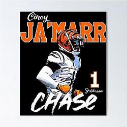 Cincinnati Bengals Poster