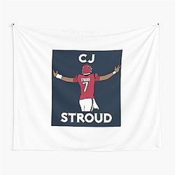 CJ Stroud Embracing the Fans Tapestry