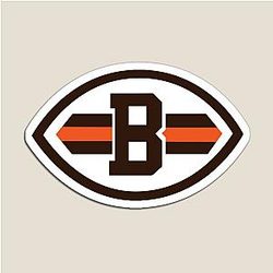 Cleveland Browns football Limited Edition Perfect Gift Magnet