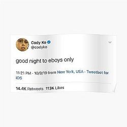 Cody Ko Posters - Cody Ko tweet Poster