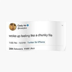 Cody Ko Posters - Cody Ko tweet Poster