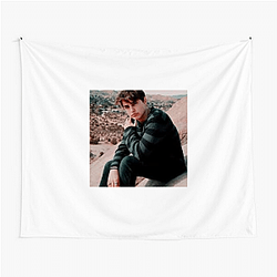 Colby Brock Merch For Fans Colby Brock Tapestries