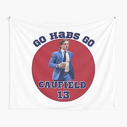 Cole Caufield of the Montreal hockey team Tapestry