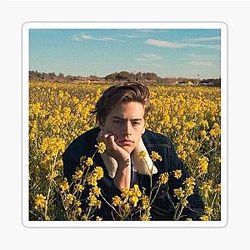 Cole Sprouse sticker