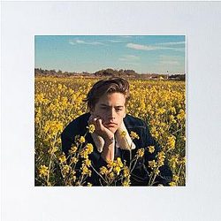 Cole Sprouse Poster