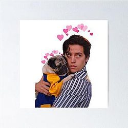 Shaelin Cole Sprouse with Pug Aesthetic Poster