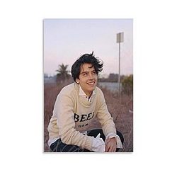 Cole Sprouse Posters Gifts Canvas Painting Wall Art Prints Modern Decor Framed 16x24inch