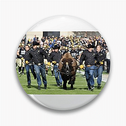 Colorado Buffaloes Limited Collection Colorado Buffaloes Pins