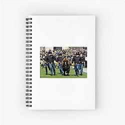 Colorado Buffaloes Limited Collection Colorado Buffaloes Notebook
