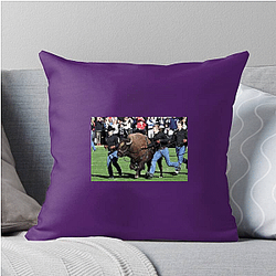 Colorado Buffaloes Fan Art Colorado Buffaloes Pillows Cover