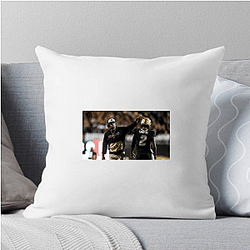 Colorado Buffaloes Signature Colorado Buffaloes Pillows Cover