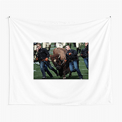 Colorado Buffaloes Merch Colorado Buffaloes Tapestries