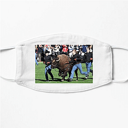 Colorado Buffaloes Fan Art Colorado Buffaloes Face Masks