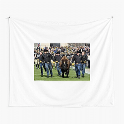 Colorado Buffaloes Limited Collection Colorado Buffaloes Tapestries