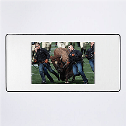 Colorado Buffaloes Merch Colorado Buffaloes Mouse Pads