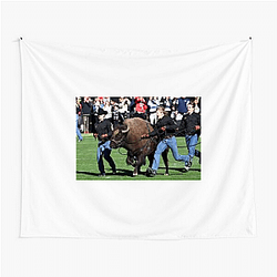 Colorado Buffaloes Fan Art Colorado Buffaloes Tapestries