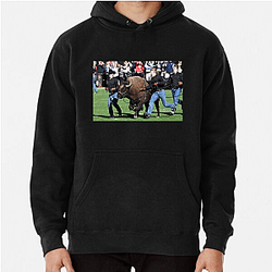 Colorado Buffaloes Fan Art Colorado Buffaloes Hoodies