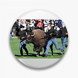 Colorado Buffaloes Fan Art Colorado Buffaloes Pins
