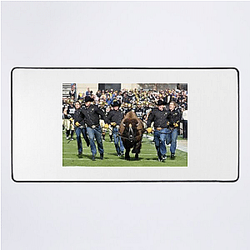 Colorado Buffaloes Limited Collection Colorado Buffaloes Mouse Pads