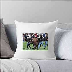 Colorado Buffaloes Fan Art Colorado Buffaloes Pillows Cover