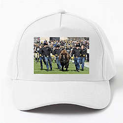 Colorado Buffaloes Limited Collection Colorado Buffaloes Hats & Caps