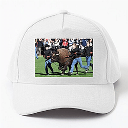 Colorado Buffaloes Fan Art Colorado Buffaloes Hats & Caps