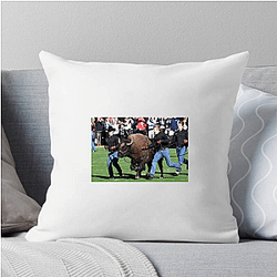 Colorado Buffaloes Fan Art Colorado Buffaloes Pillows Cover
